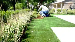 lanscaping-maintenance-tips