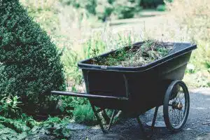 gardener