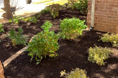 Fort Worth Landscaping Services