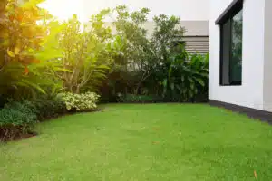 landscaping services in texas