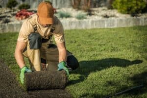 landscaping services in texas