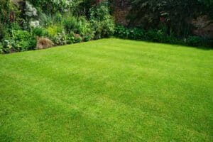 Green Earth Services