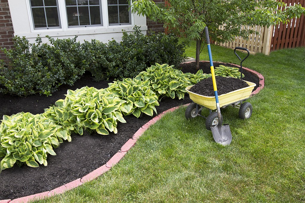 The Best Professional Landscape Installation in Keller is the Answer to