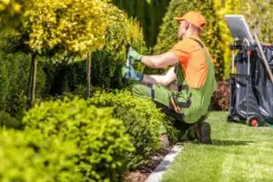 landscape maintenance services keller