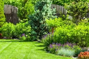 landscaping services in keller tx