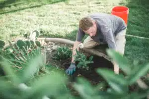 professional landscaping services texas