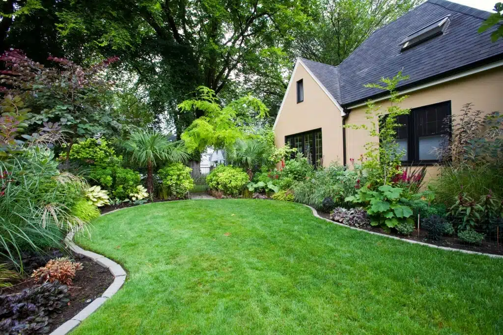 texas professional landscaping services