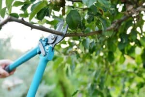Professional vs DIY Yard Drainage Solutions: What Works Long Term?