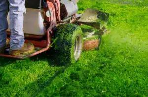 keller landscape maintenance service