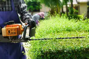 landscape-maintenance-service