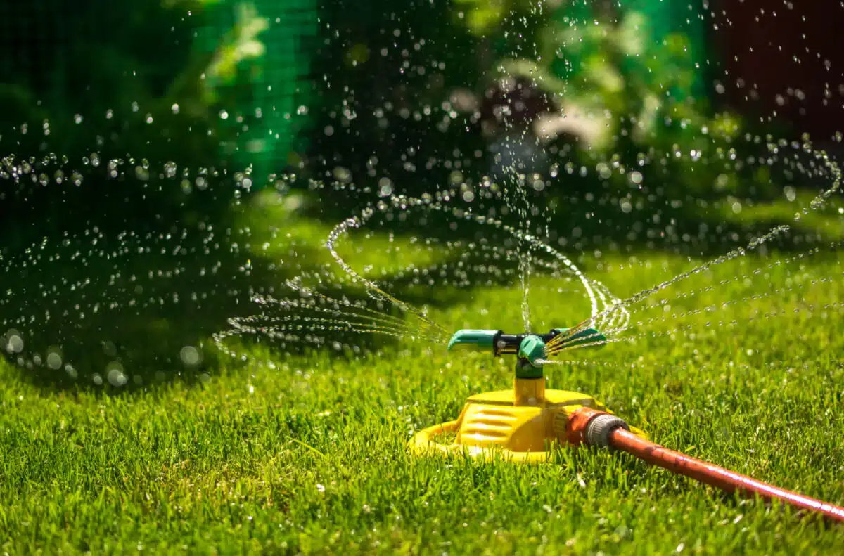 What Are the Most Common Irrigation Problems