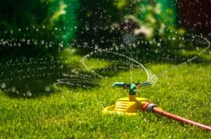 What Are the Most Common Irrigation Problems