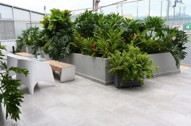 Rooftop Terrace Garden - Green Earth Services of TX