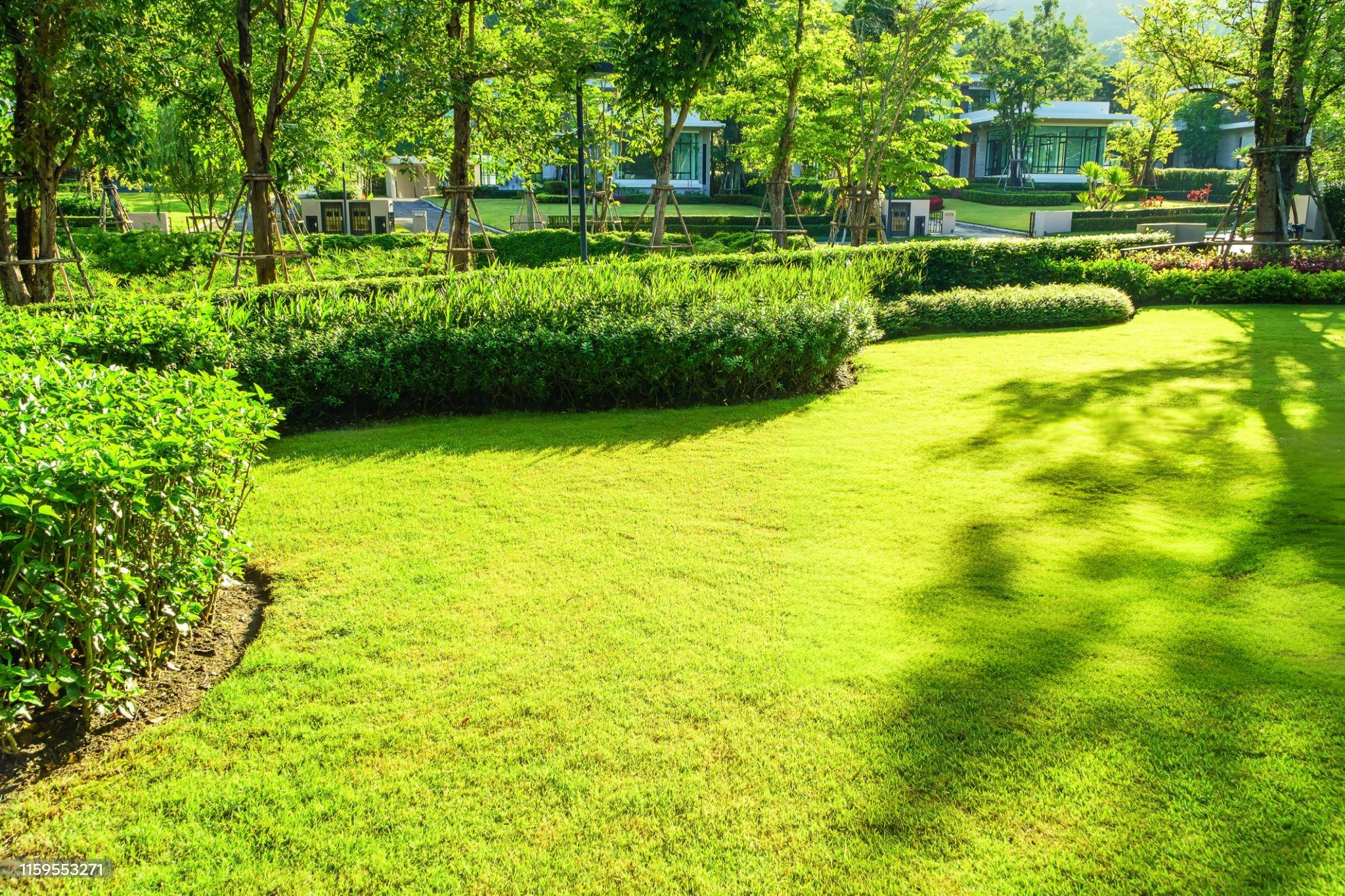 How to Landscape Front Yard Low Maintenance 2024 Tips and Guide