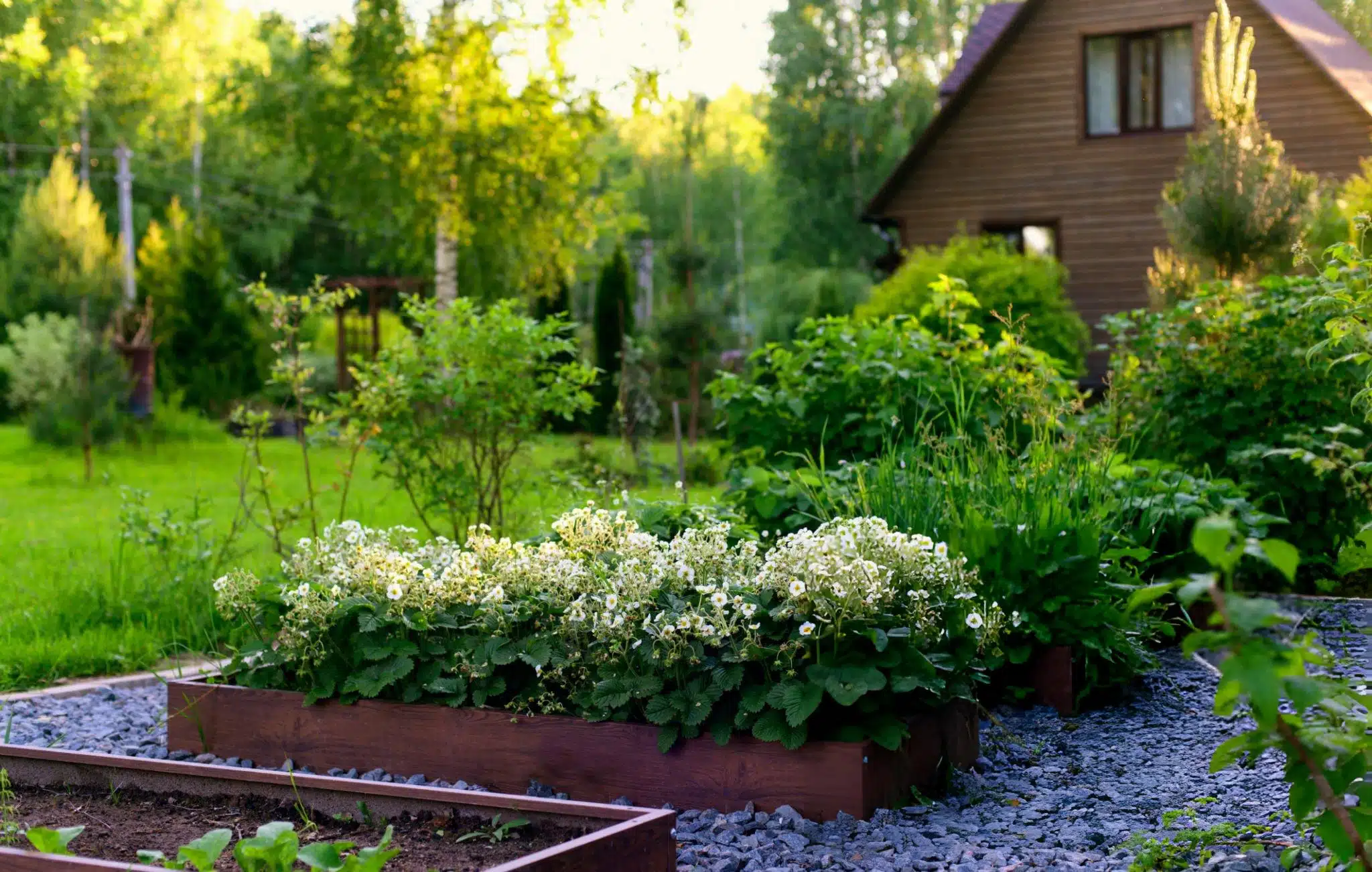 Residents Choose Expert Landscapers 