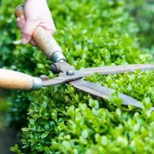 Residents Choose Expert Landscapers