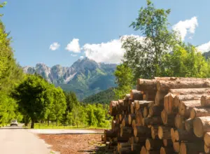 How to Make a Pressure-Treated Landscape Timber Bigger