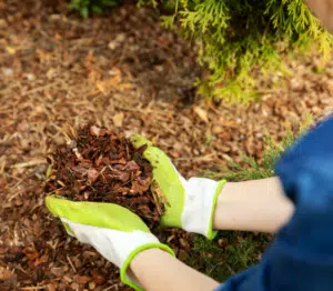 Mulch for Flower Beds