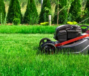 Mowing grass