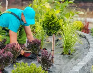 Hardscape Last and What Affects Its Lifespan?