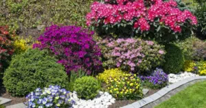 front yard landscaping ideas with rocks no grass