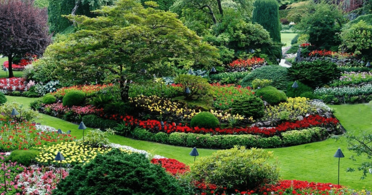 Lush garden with colorful flower beds.