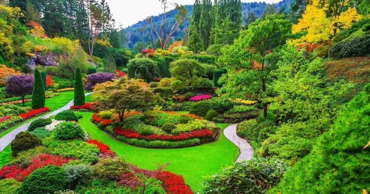 Thoughtful Holiday Lighting Transforms Your Home’s Visual Christmas Identity