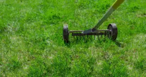 spring lawn care tips