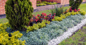 Hardscape Last and What Affects Its Lifespan?
