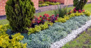 how to choose plants for landscaping