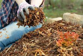 what is mulching