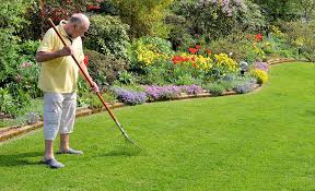 spring lawn care tips