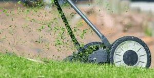 Reel lawn mower cuts fresh green grass.