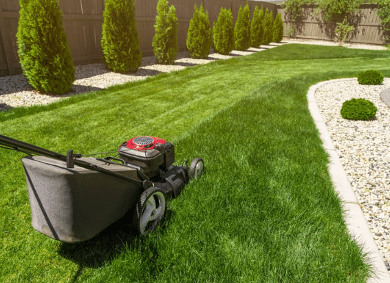 How to Start a Sustainable Landscape on Any Budget