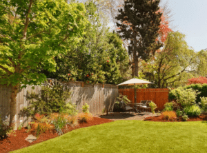Backyard Landscaping