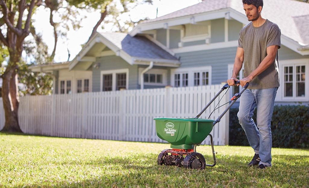 fertilizing the grass