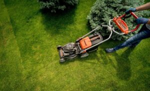 lawn care by the owner