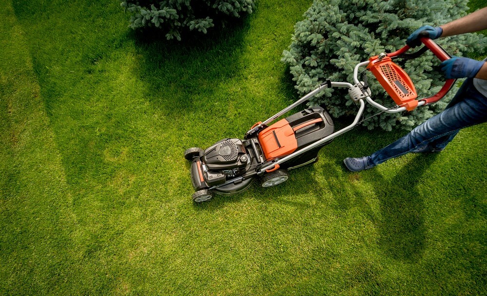 lawn care by the owner
