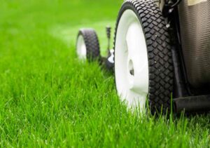 Reliable Lawn Care and Maintenance