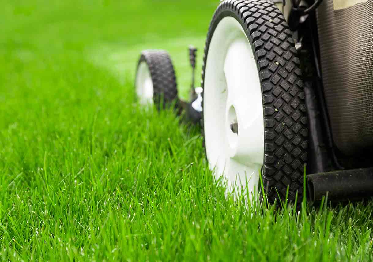 lawn care services