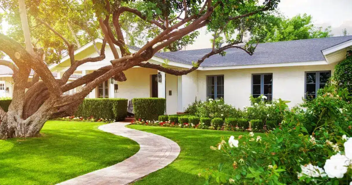 Transform Your Outdoor Space with Landscaping Services