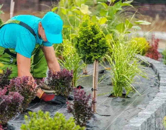 Comprehensive Landscaping