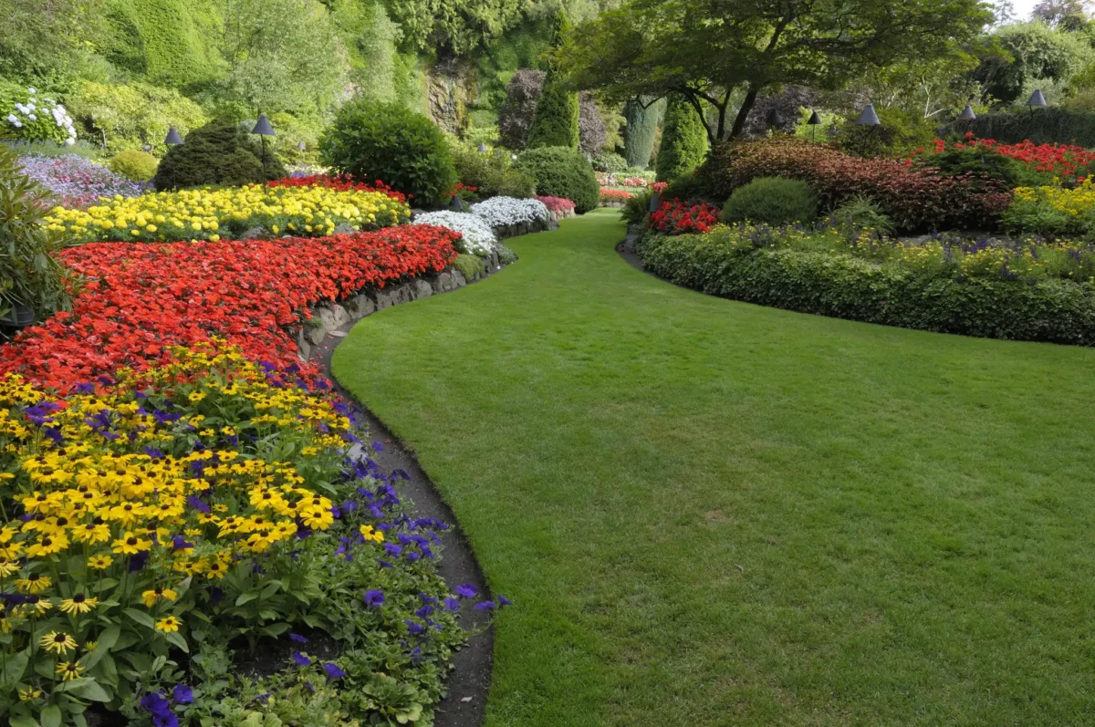 Professional vs DIY Yard Drainage Solutions What Works Long Term